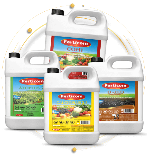 agence packaging design produits agricole maroc